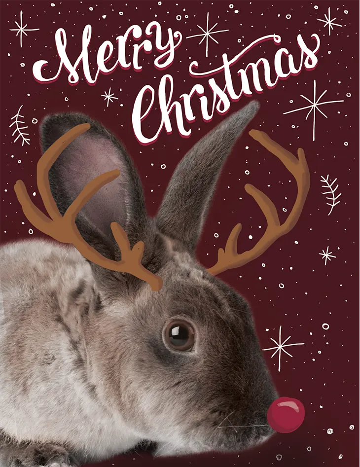 illustration christmas