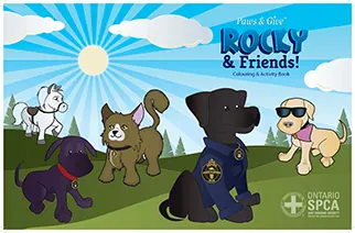 illustration rocky