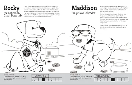 illustration rocky and madison
